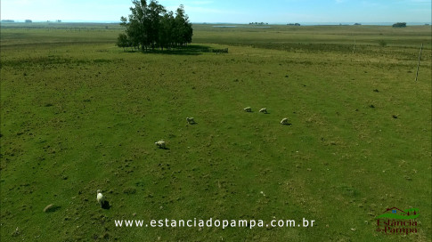 DOS EÓLICOS VIRA P FAZENDA_Moment.00_01_09_00.Quadro556_423b660f64a9781b109eaac24cfe022ded3b88b2.jpg